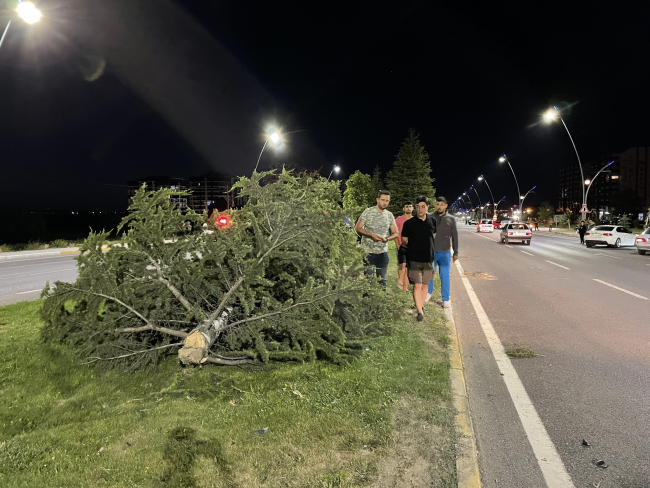 Niğde'de refüjdeki ağaçlara çarpan otomobilin sürücüsü öldü