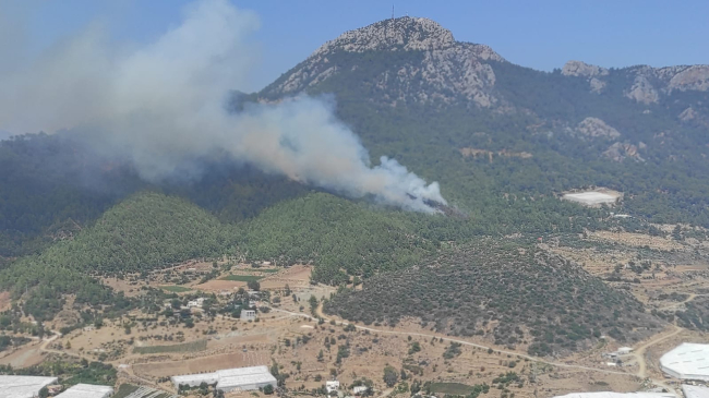 Mersin'de orman yangını