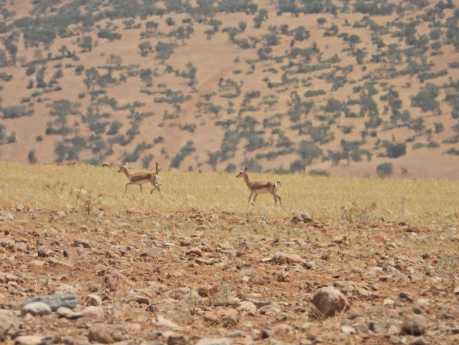 Fotoğraf: AA