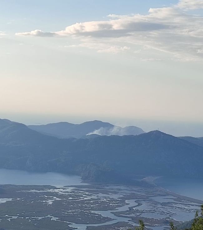 Muğla'da çıkan orman yangını söndürüldü