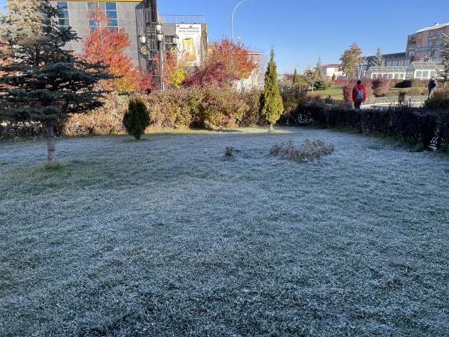 Erzurum'da soğuk hava etkili