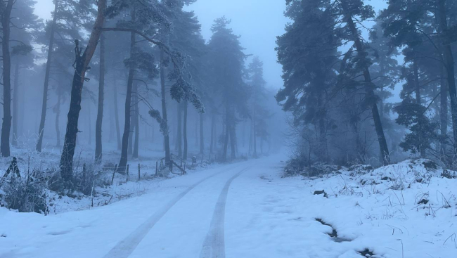 Kastamonu'da sis etkili oldu