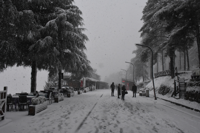 Ordu'da kar etkili oluyor