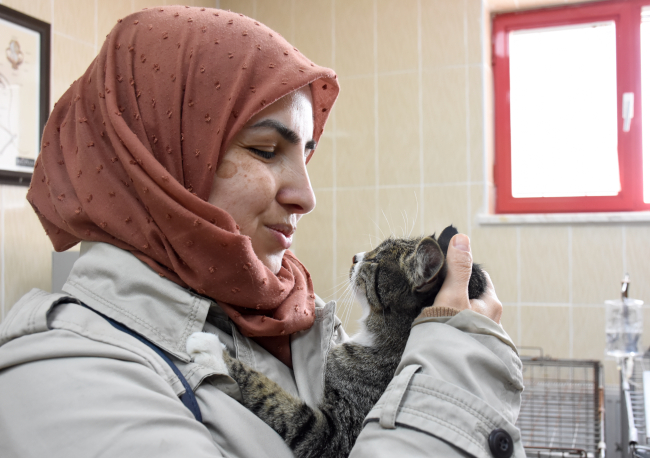 Enkazdan çıkarılan kedileri için Malatya'ya döndüler