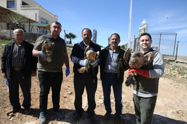 Şanlıurfa'da koruma altındaki ceylanlar depremi kayıpsız atlattı