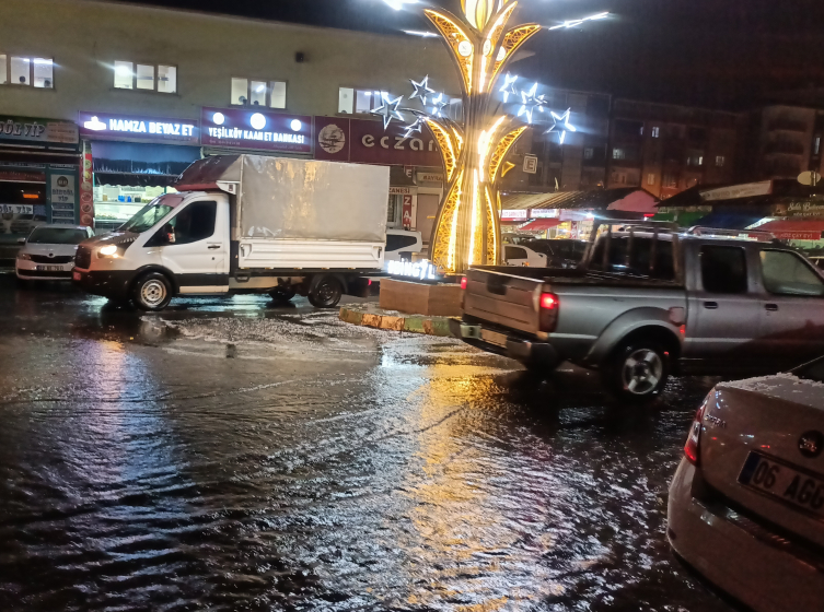 Bingöl'de dolu etkili oldu