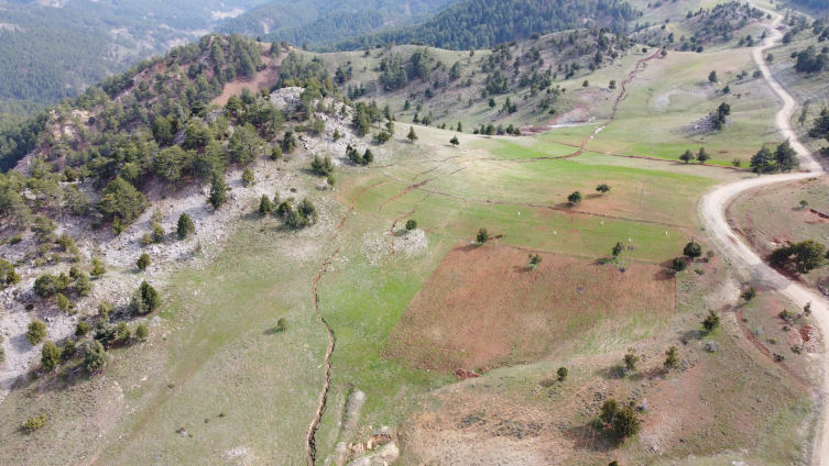 Göksun'da deprem kilometrelerce yüzey kırığı oluşturdu