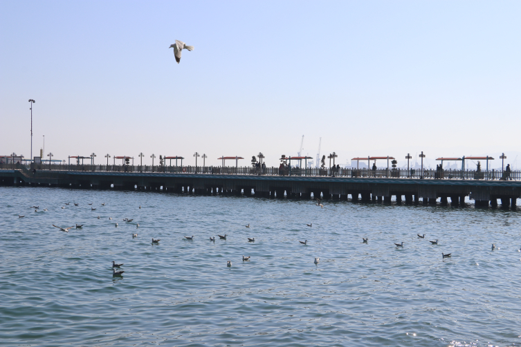 Tekirdağ bu yıl 5 milyon yerli ve yabancı ziyaretçi bekliyor