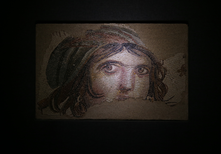 Zeugma Mozaik Müzesi ziyarete açıldı