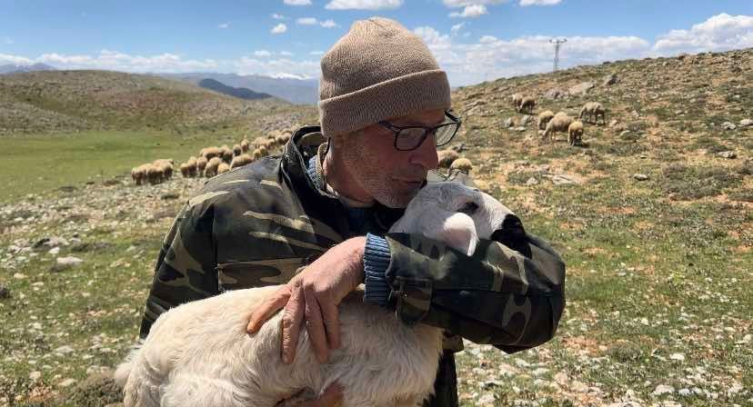 Malatya'da kaybolan küçükbaş hayvanları jandarma dron yardımıyla buldu