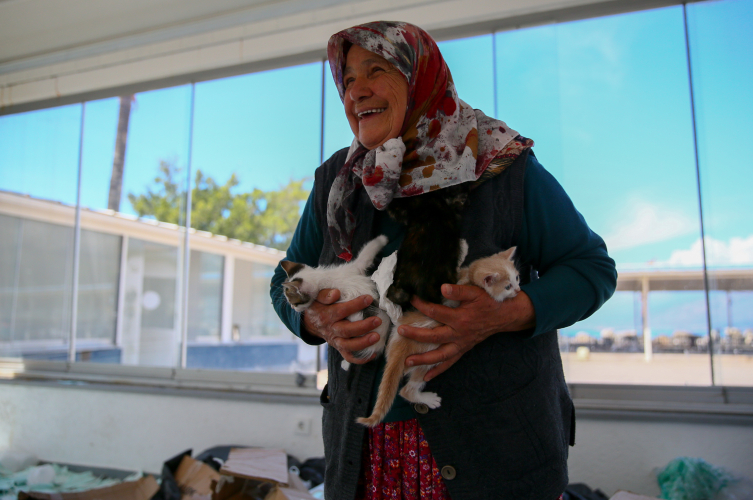 70 yaşındaki kadın 17 yıldır sokak kedilerini besliyor