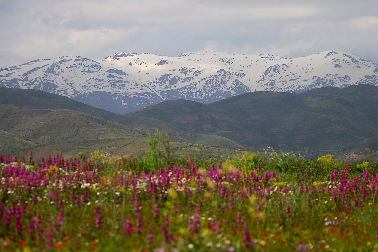 Bayburt'ta yüksek kesimler beyaza büründü