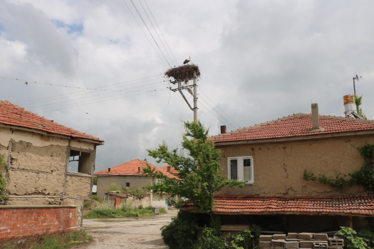 Afyonkarahisar'da leylekler yıllardır aynı elektrik direğinde konaklıyor