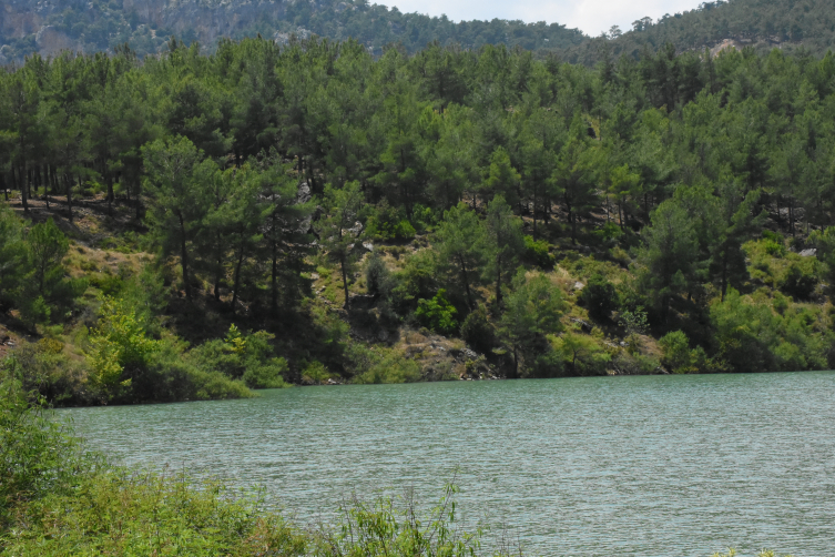 Yağışlar Antalya tarımına yazın 'can suyu' olacak