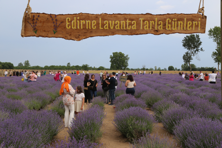 Edirne'de 6. Lavanta Tarla Günleri çeşitli etkinliklerle sürüyor