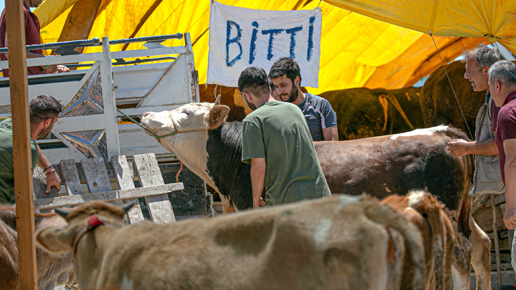 Kurban pazarlarında arife günü hareketliliği