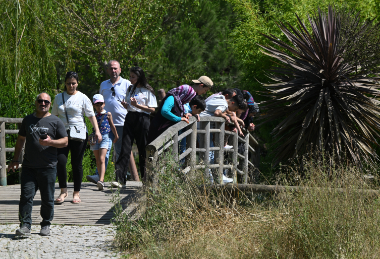 Bayramda İzmir Doğal Yaşam Parkı'na ziyaretçi akını