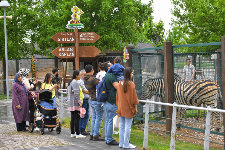 Kayseri'de hayvanat bahçesini Kurban Bayramı'nda 65 bin kişi ziyaret etti