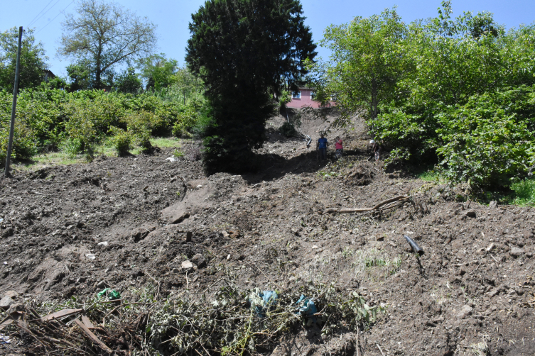 Ordu'da heyelanlardan zarar gören fındık bahçelerinde hasar tespiti başladı