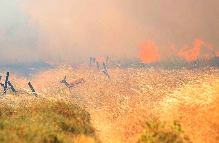 Çanakkale'de 2 noktada alevlerle mücadele sürüyor