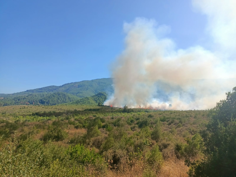 Burdur'da çıkan orman yangını kontrol altına alındı