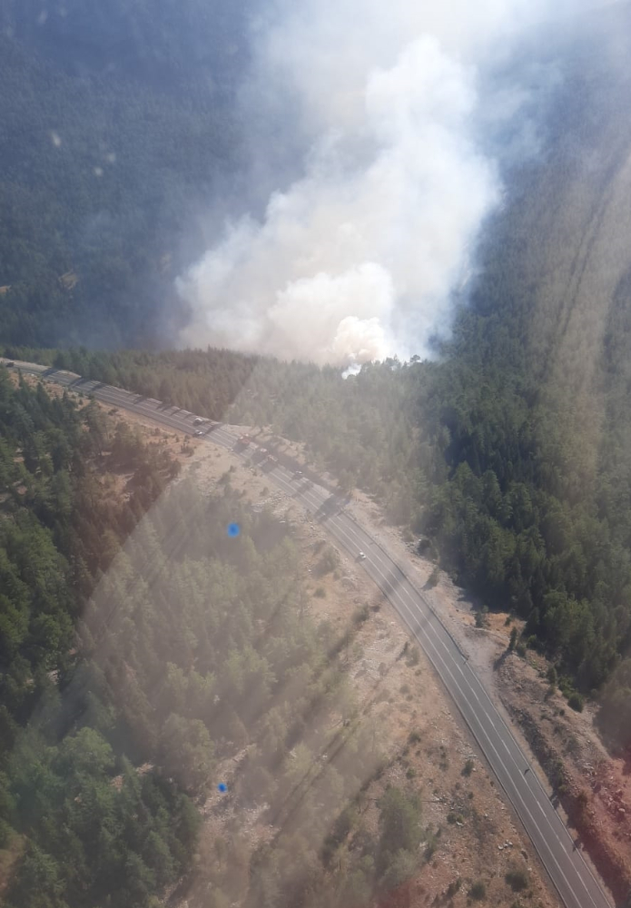 Antalya'da çıkan orman yangınında 10 dönüm alan zarar gördü