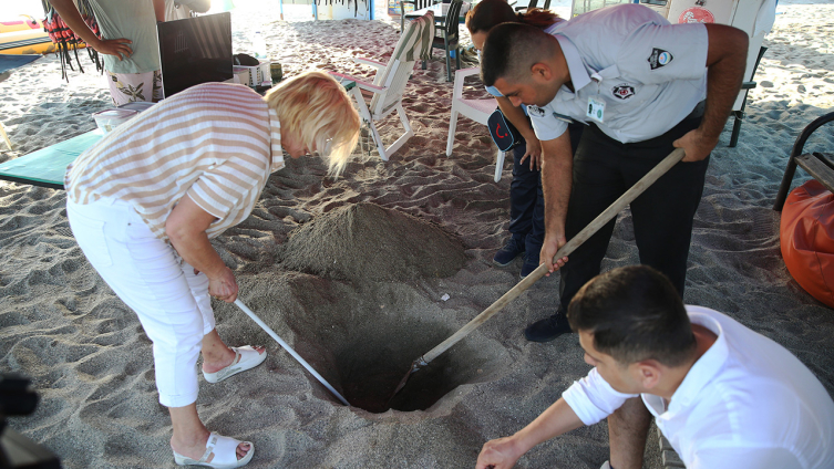 Antalya'da caretta caretta yuvalarına yakın takip