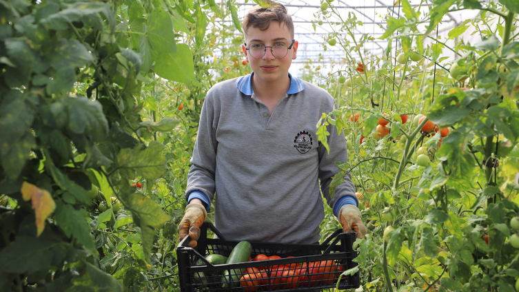 Bayburt'ta öğrenciler yetiştirdikleri sebzeleri hasat etti