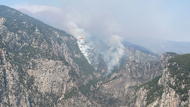 Burdur'da orman yangını çıktı