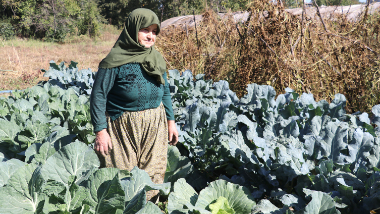 75 yaşındaki Hanife teyze çiftçilikten kopamıyor