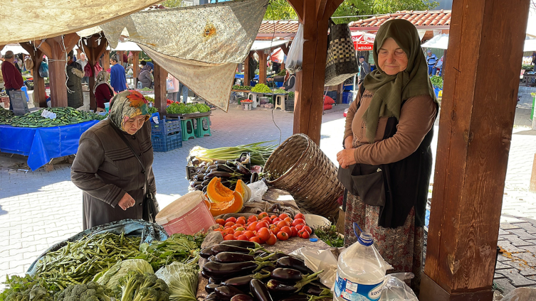 75 yaşındaki Hanife teyze çiftçilikten kopamıyor