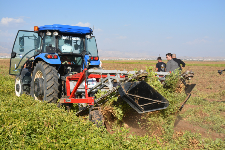 Şırnak'ta "Yer Fıstığı Hasat Şenliği" düzenlendi