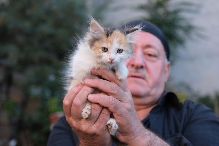 Kedi sevgisi müteahhitlerin tekliflerine "dur" dedirtti