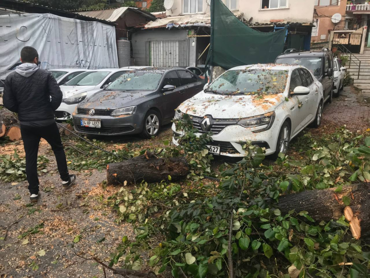 İstanbul'da fırtına ve sağanak: Çatılar uçtu, ağaçlar devrildi