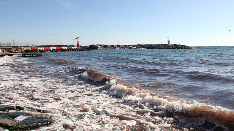 Tekirdağ'da sahil kırmızı yosunla kaplandı