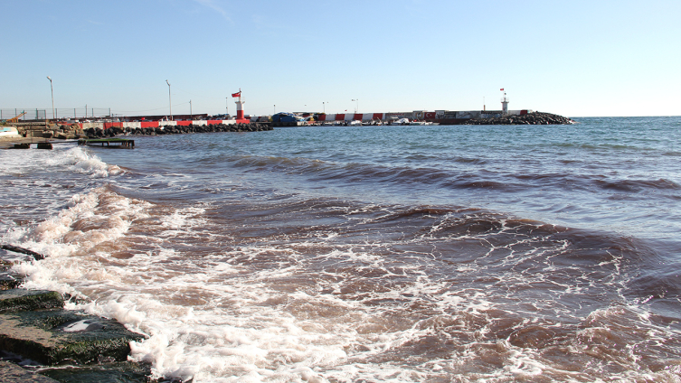 Tekirdağ'da sahil kırmızı yosunla kaplandı