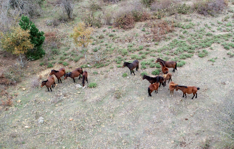 Fotoğraf: AA