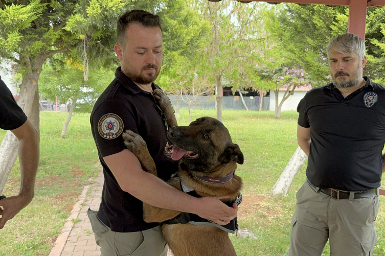 Narkotik dedektör köpeği Hulk'un doğum günü kutlandı