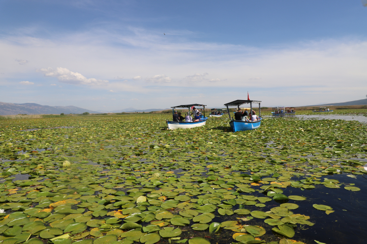 Denizli'de Nilüferlerle kaplı Işıklı Gölü sezonun ilk ziyaretçilerini ağırlıyor