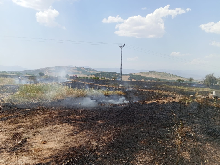 Gaziantep'te 32 dönümluk buğday ekili alan yandı