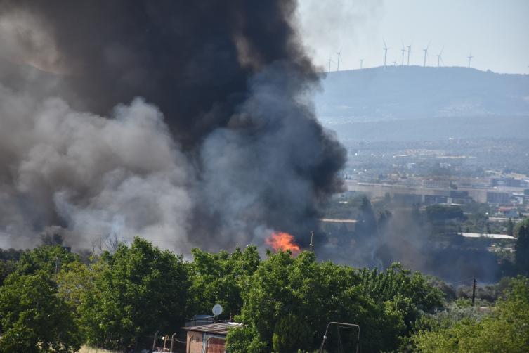 İzmir'de palet atölyesindeki yangın otluk alana sıçradı