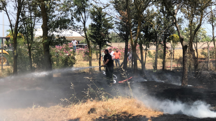 Tekirdağ'da hatıra ormanında çıkan yangın söndürüldü