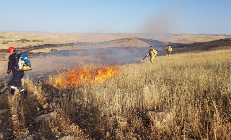 Mardin'de çıkan örtü yangınları söndürüldü