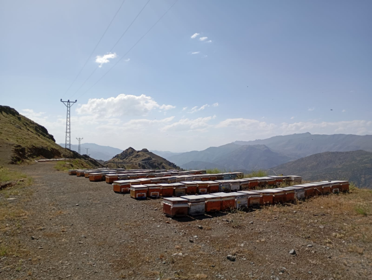 Siirt'te heyelan nedeniyle bozulan yayla yolu yeniden açıldı