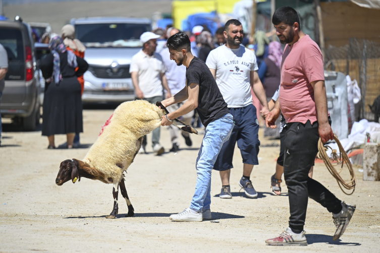 Ankara'da kurban pazar yerlerinde ilk gün yoğunluğu yaşanıyor