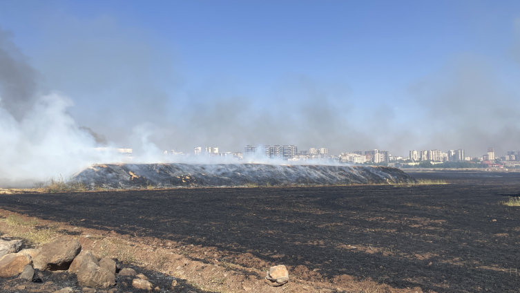 Şanlıurfa'da anız yangını: 200 ton saman yandı