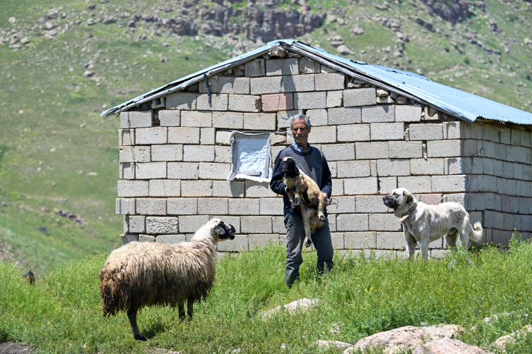 Vanlı besici 30 yıldır 2 bin 500 rakımdaki yaylada koyunlarına bakıyor