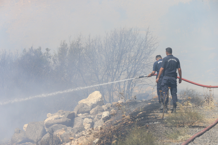 Kahramanmaraş'ta ormanlık alanda çıkan yangın söndürüldü