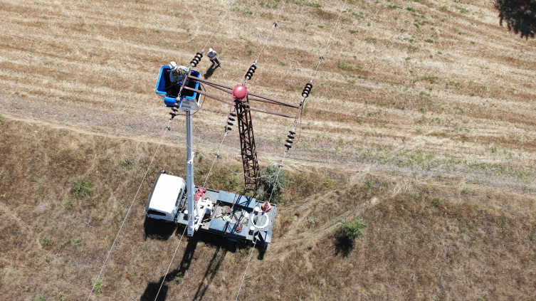 Tekirdağ'da elektrik telleri şah kartalları için izole ediliyor