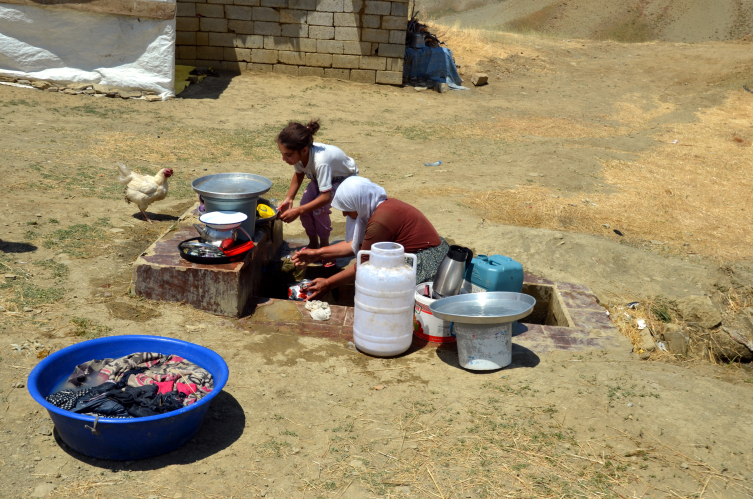 Muş'ta yayla mesaisi sürüyor